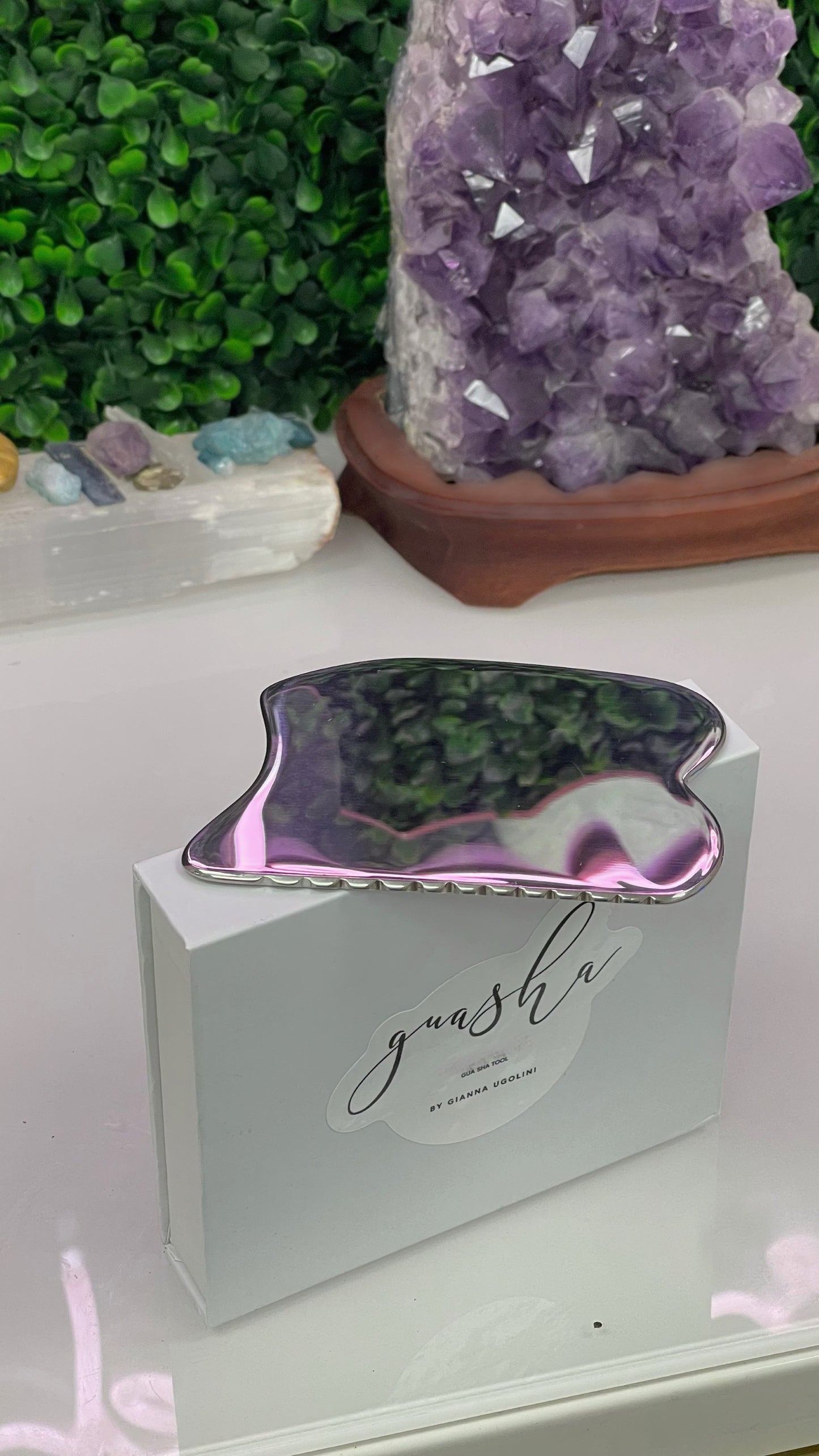 Kit...Stainless Steel Gua Sha + Cleansing Oil